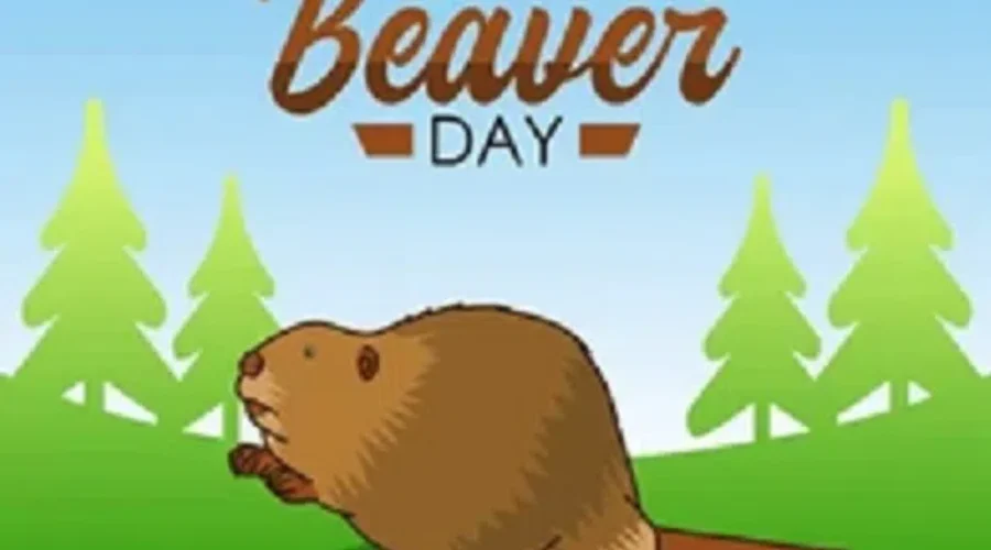 Happy International Beaver Day