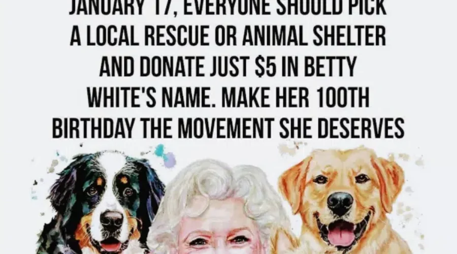 Remembering Betty White On Her 100th Birthday