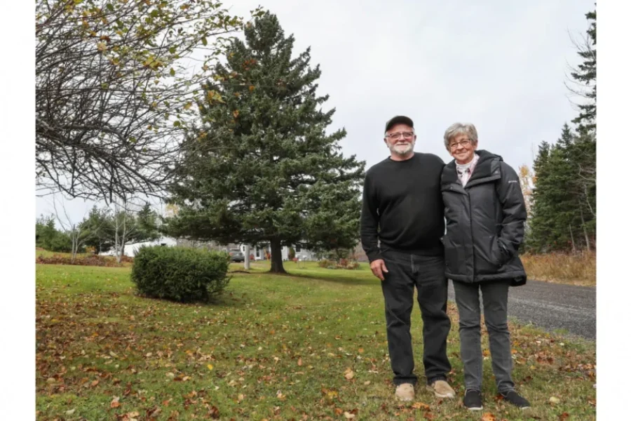 Check Out The New Boston Christmas Tree And Where It’s From!