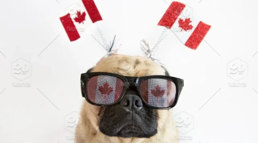 Ways To Be Super CANADIAN On Canada Day!!!