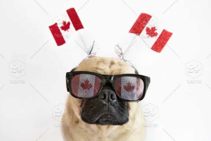 Ways To Be Super CANADIAN On Canada Day!!!