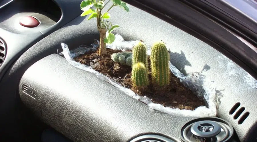 Cardening – For Those That Like To Garden And Hate Cleaning The Car