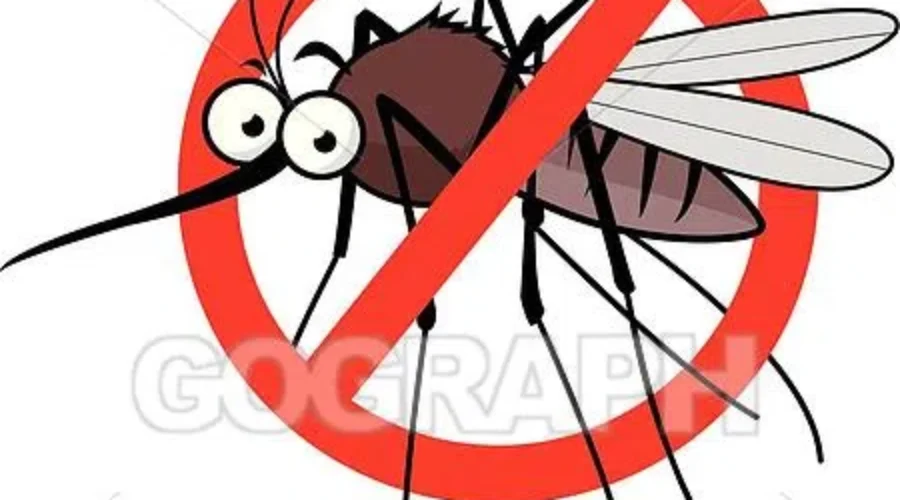 Bug Season – Plants That Limit The BUZZ and Exploring Lyme Rumors