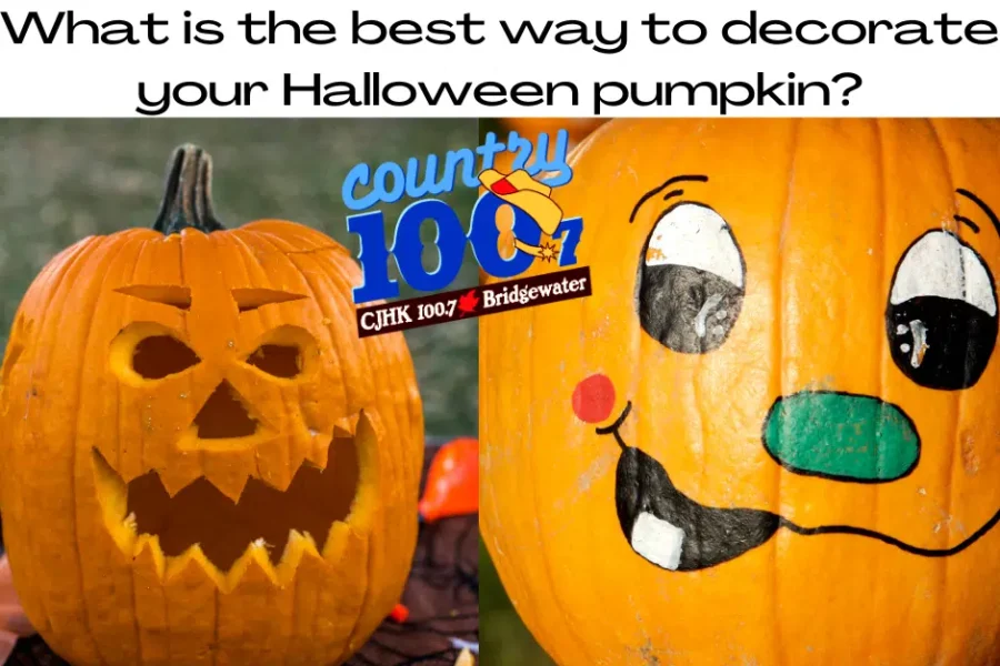 Best Decorated Pumpkins Are Carved OR Painted??