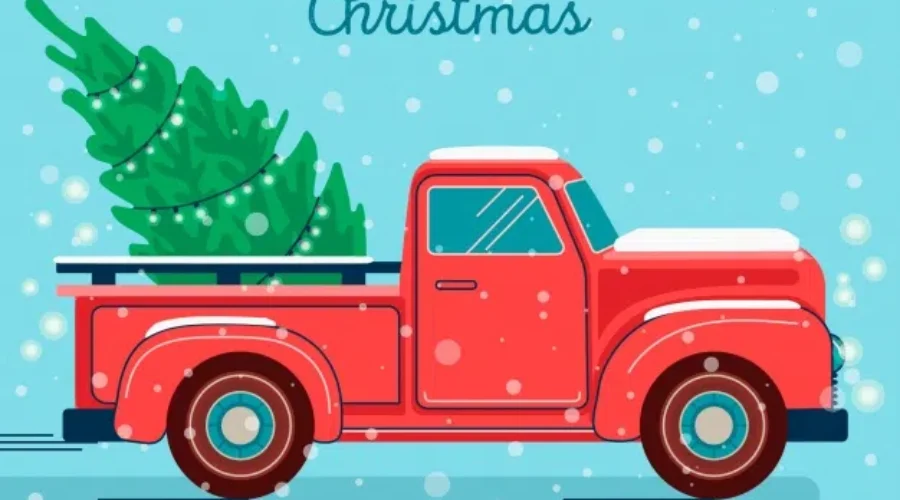 Christmas Trees – Where Did You Get Yours?