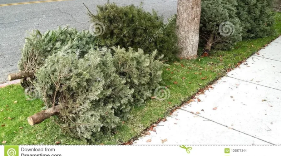 Will Your House Still Be Decorated For Christmas In 2021?