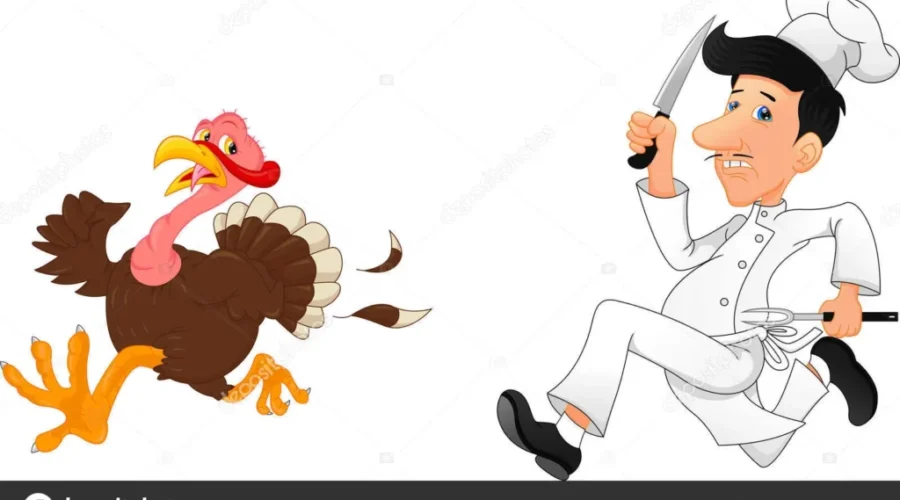 In A Rush But Need A Meal? Broth Bombs Are Here!!