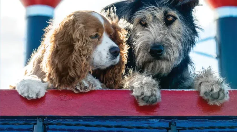 Disney’s “Lady And The Tramp” Remake.