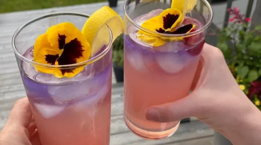 Canadians’ Top Summer Cocktail Is…
