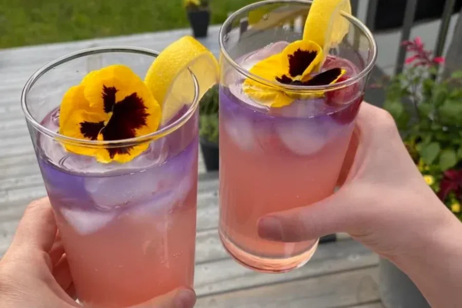 Canadians’ Top Summer Cocktail Is…