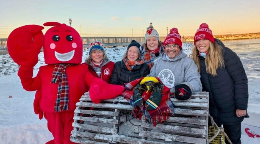 In my backyard #2-Lobster Crawl: from dream to reality