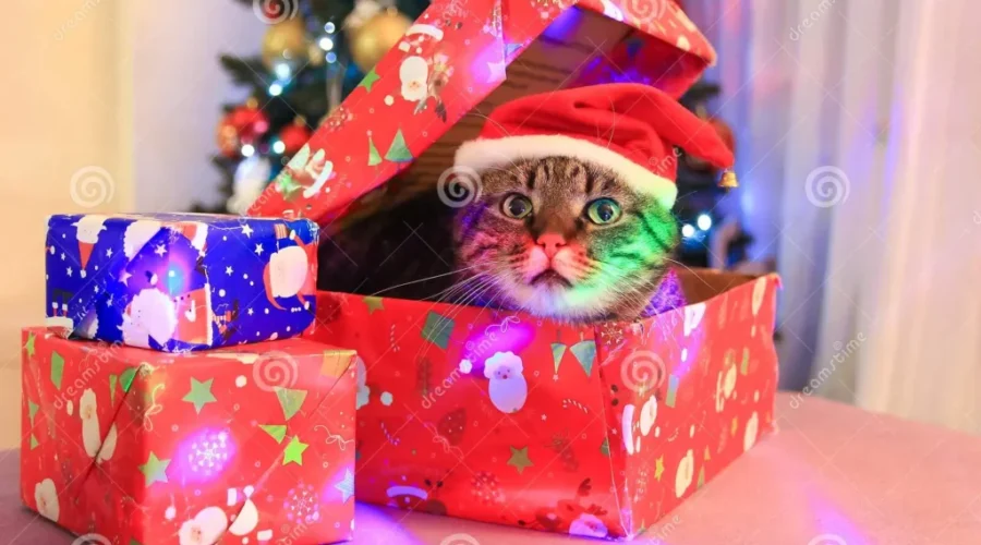 Christmas Gifts – Wrapping Tips AND When Should You Open Presents??