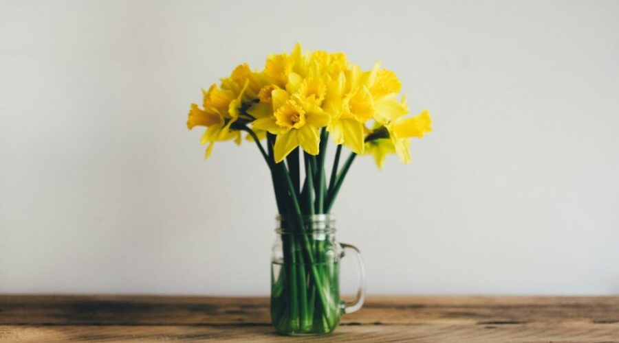 Why “Spring Cleaning” Actually Feels So Good