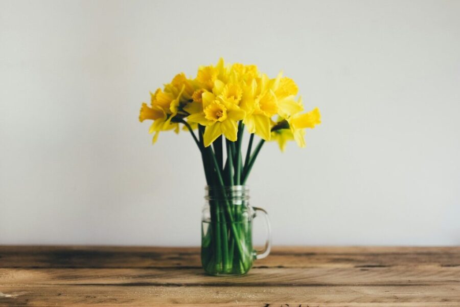 Why “Spring Cleaning” Actually Feels So Good