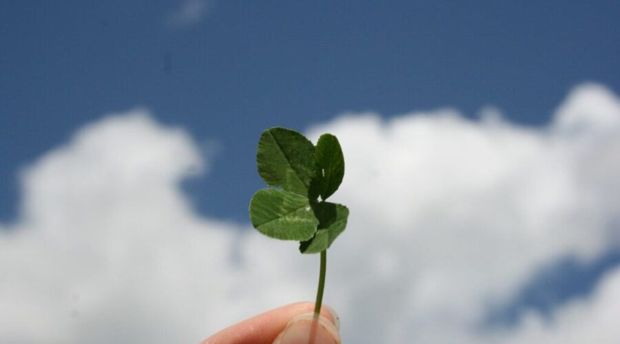 Irish Roots in Atlantic Canada