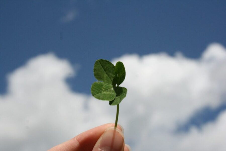 Irish Roots in Atlantic Canada