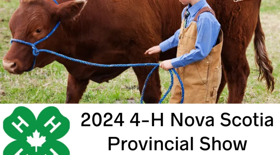 Celebrating 44 Years THIS Weekend – The Nova Scotia 4-H Provincial Show
