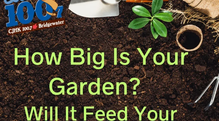 How Much Should I Plant? Answering The Gardener’s BIG Question!