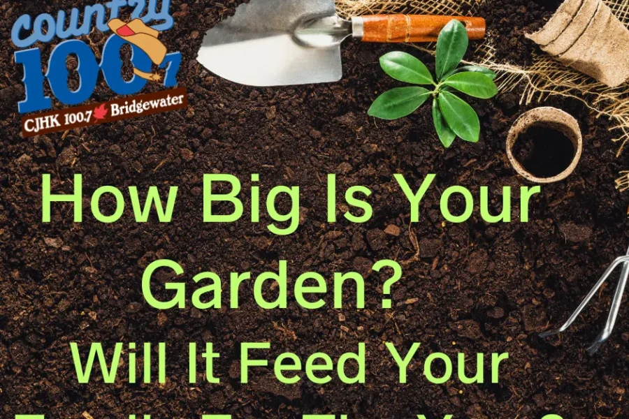 How Much Should I Plant? Answering The Gardener’s BIG Question!