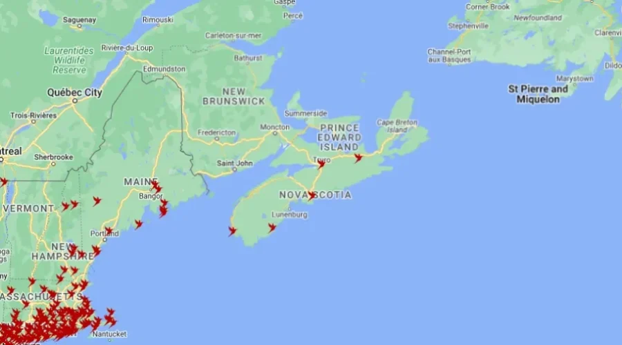 The Hummingbirds have arrived!