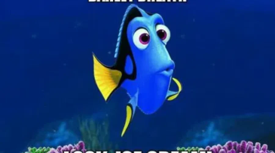 Don’t Wait, Dietitian Says Dessert Is Best WITH Your Meal