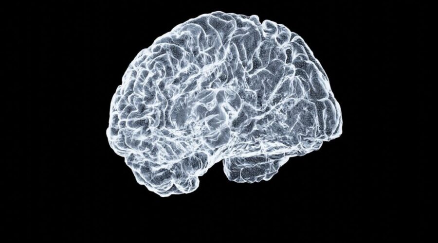 Why Do We Get “Brain Freeze”