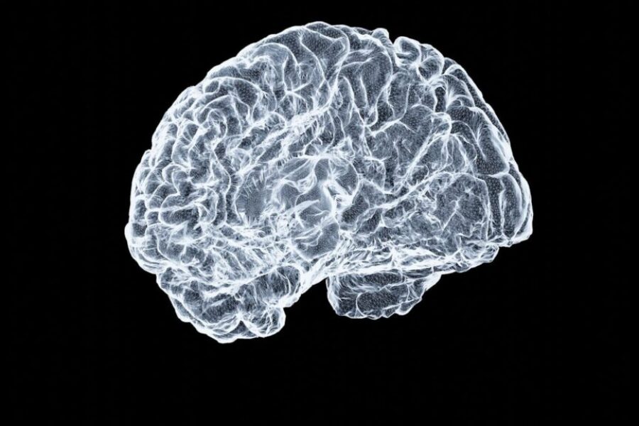 Why Do We Get “Brain Freeze”