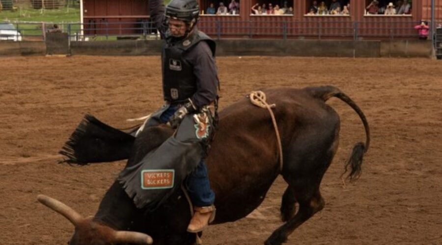 No rodeo for Nova Scotia in 2026