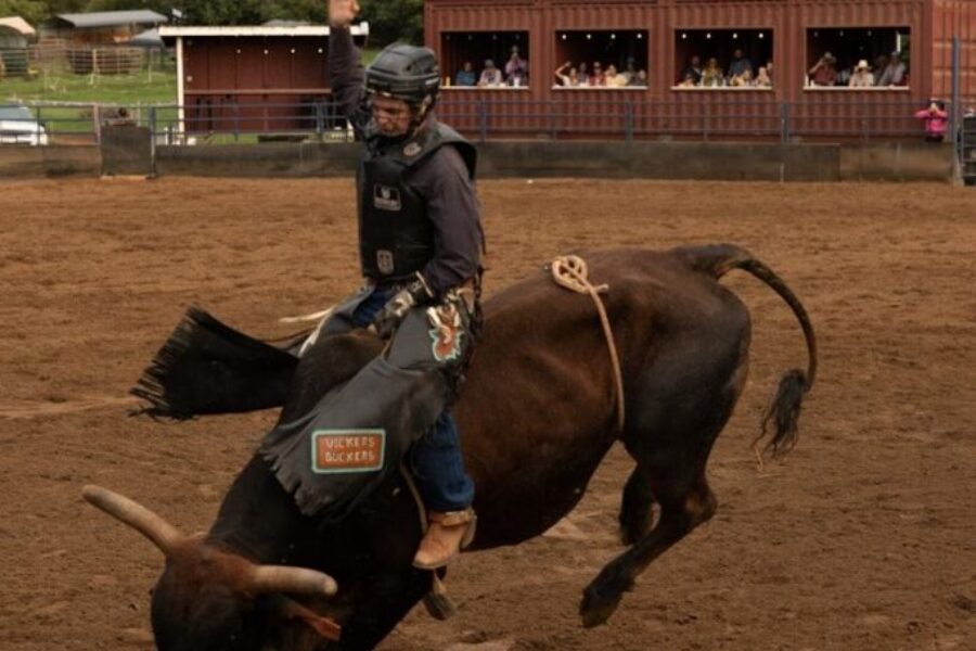 No rodeo for Nova Scotia in 2026