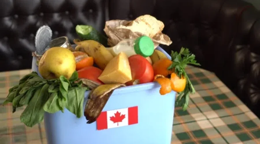 Food Prices Are On The Rise, Don’t Waste It!