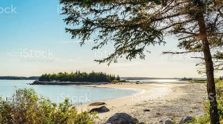 Building Sand Sculptures And Searching Waves.