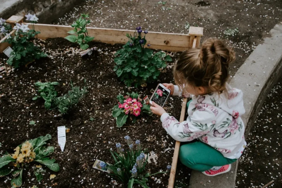 Plant The Seed For Health – Gardening Exercise