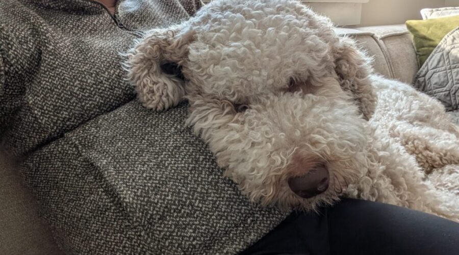 Apparently its mat leave, not Mack leave: a heartbreaking misunderstanding