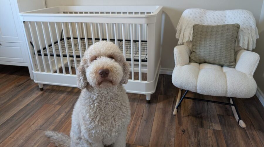 Big Brother Status: Still Pending (And I Have Thoughts)