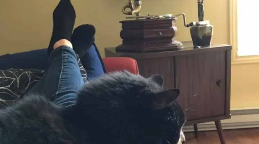 Photo Of The Day Challenge!!!