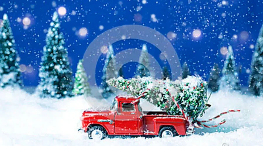 Christmas 2020, Only THREE MONTHS Away!!