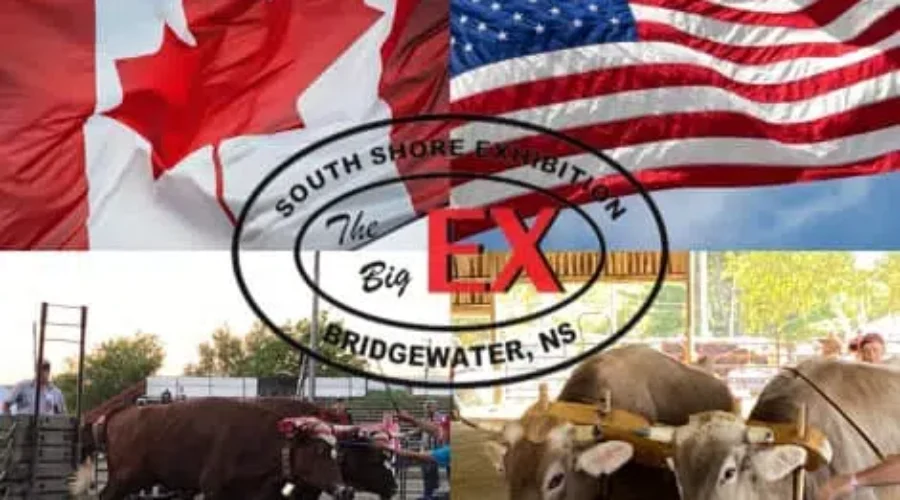 International Ox Pull USA Results