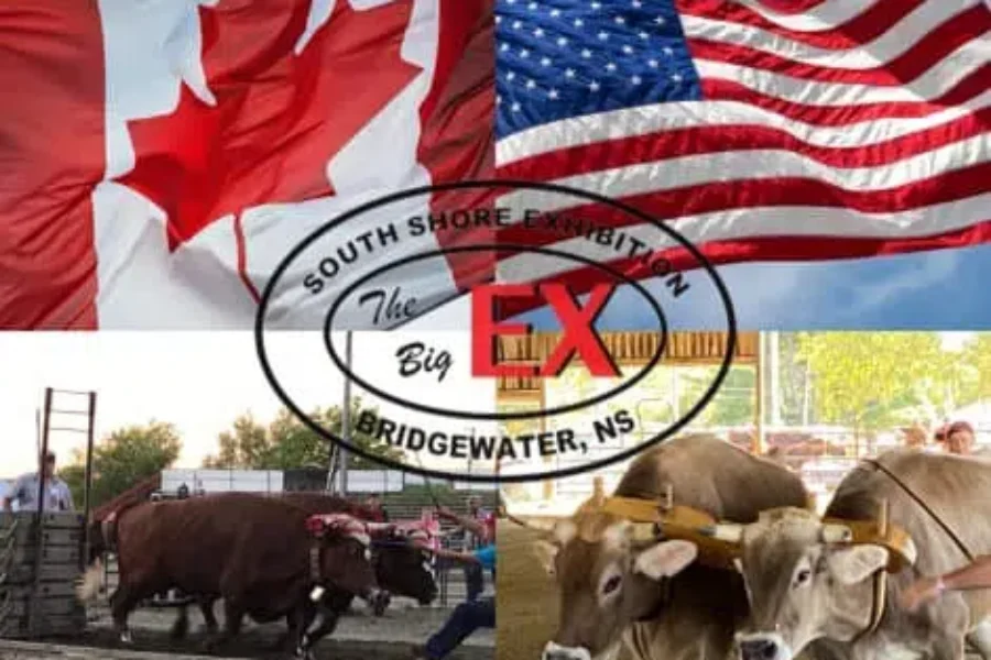 International Ox Pull USA Results