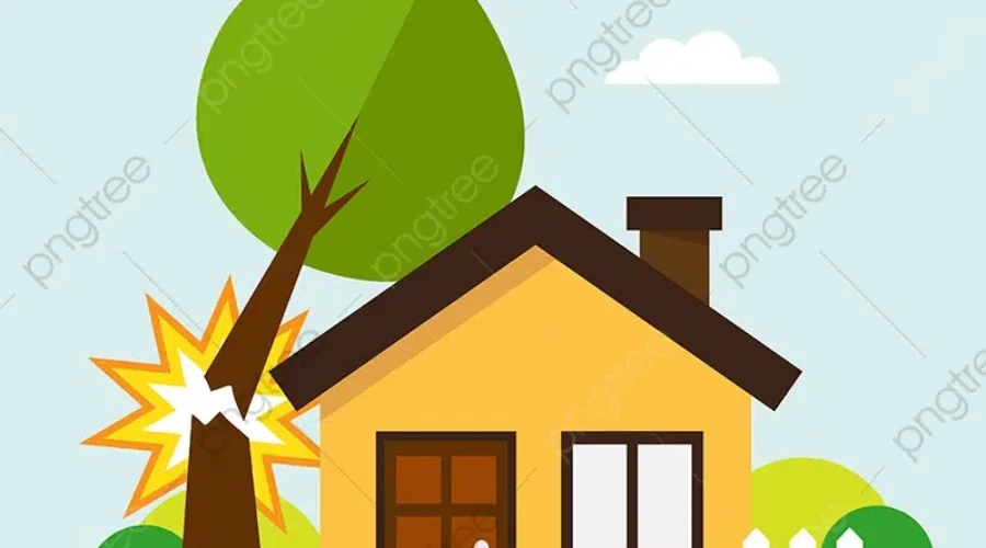 Windy With A Chace Of Falling Trees… Should You Cut That Tree?