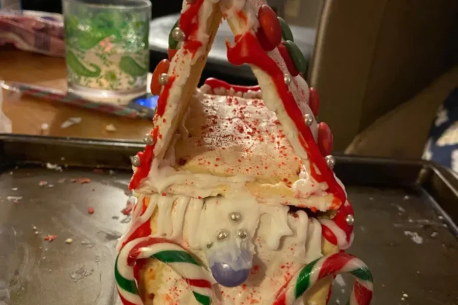 Pop-Tart Christmas Houses!!! Time To Get Creative.