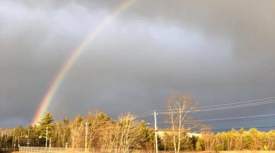 Did You See The Rainbow?