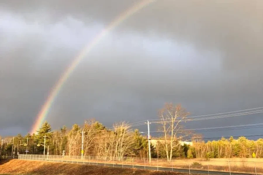 Did You See The Rainbow?
