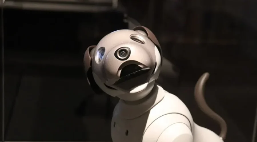 Will You Be Excited To Robot Animals?