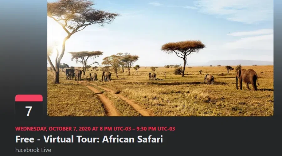 Tonight You Can Watch A Free, Virtual Tour Of The African Safari. Here Is What You Need To Know!!
