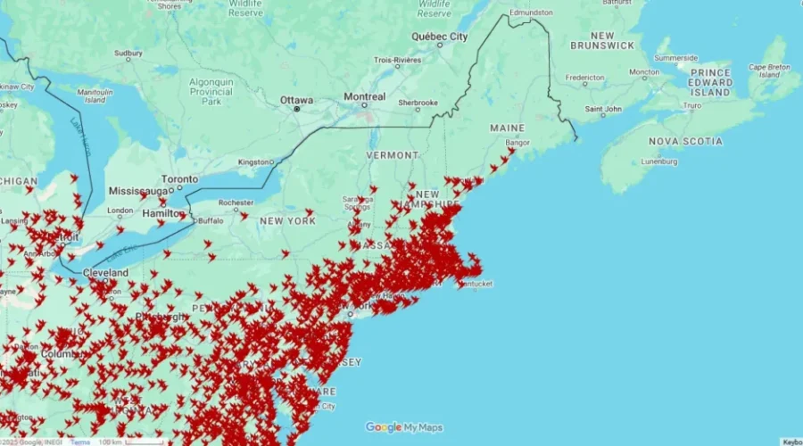 The Hummingbirds are making their way to us!!!