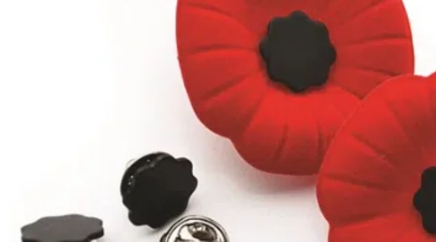 Best ways to keep your Poppy on