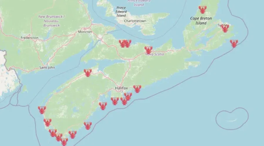 Here’s Where You Can Find All The Lobster Trap Christmas Trees!