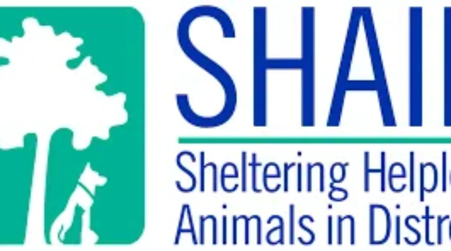 The SHAID Action Wraps Up FRIDAY!