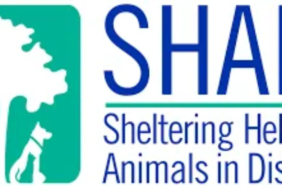 The SHAID Action Wraps Up FRIDAY!