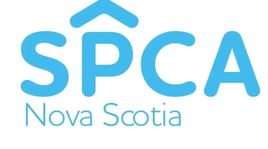 27 animals seized, 32 charges laid after 2 homes investigated